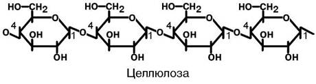 Целлюлоза формула. Целлюлоза клетчатка формула. Клетчатка структурная формула. Строение целлюлозы рисунок.